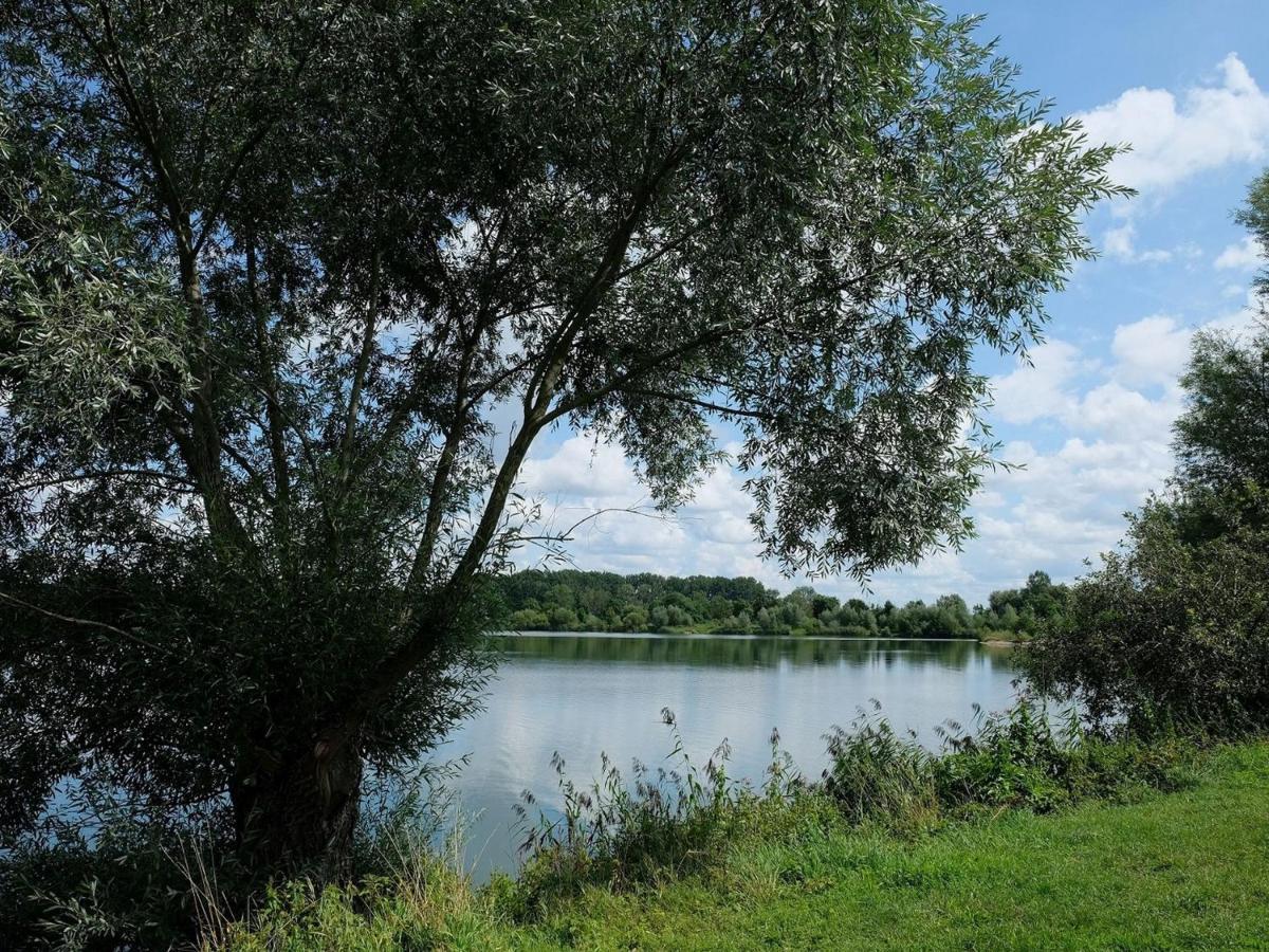 Pension Steinle Erbach an der Danau المظهر الخارجي الصورة